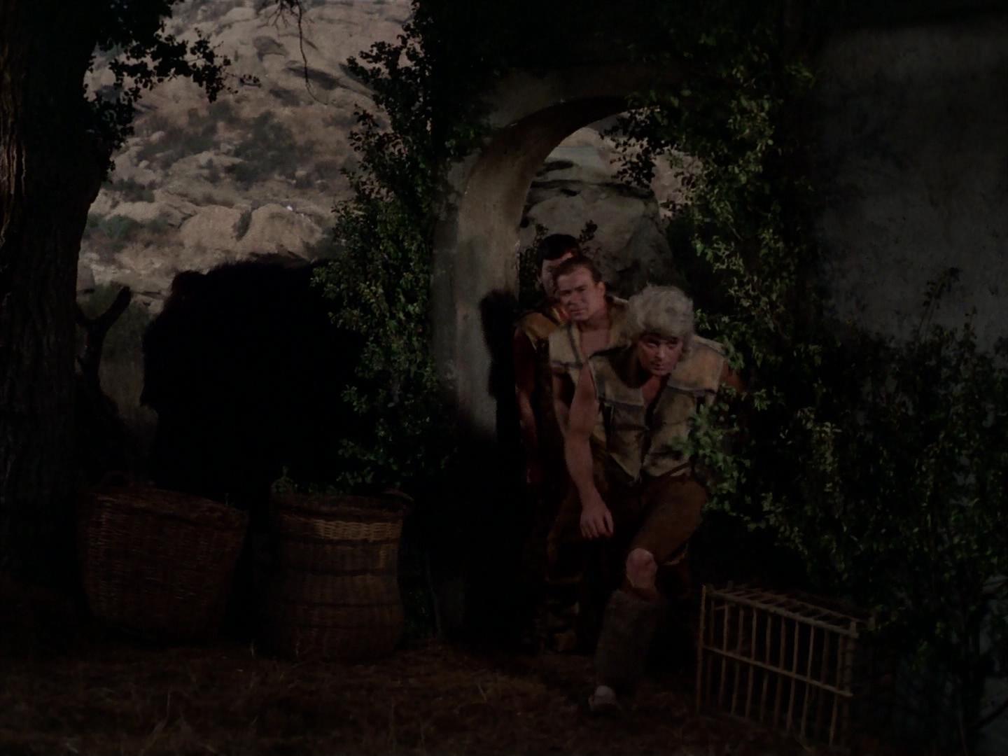 ariane179254_StarTrek_2x19_APrivateLittleWar_1969.jpg
