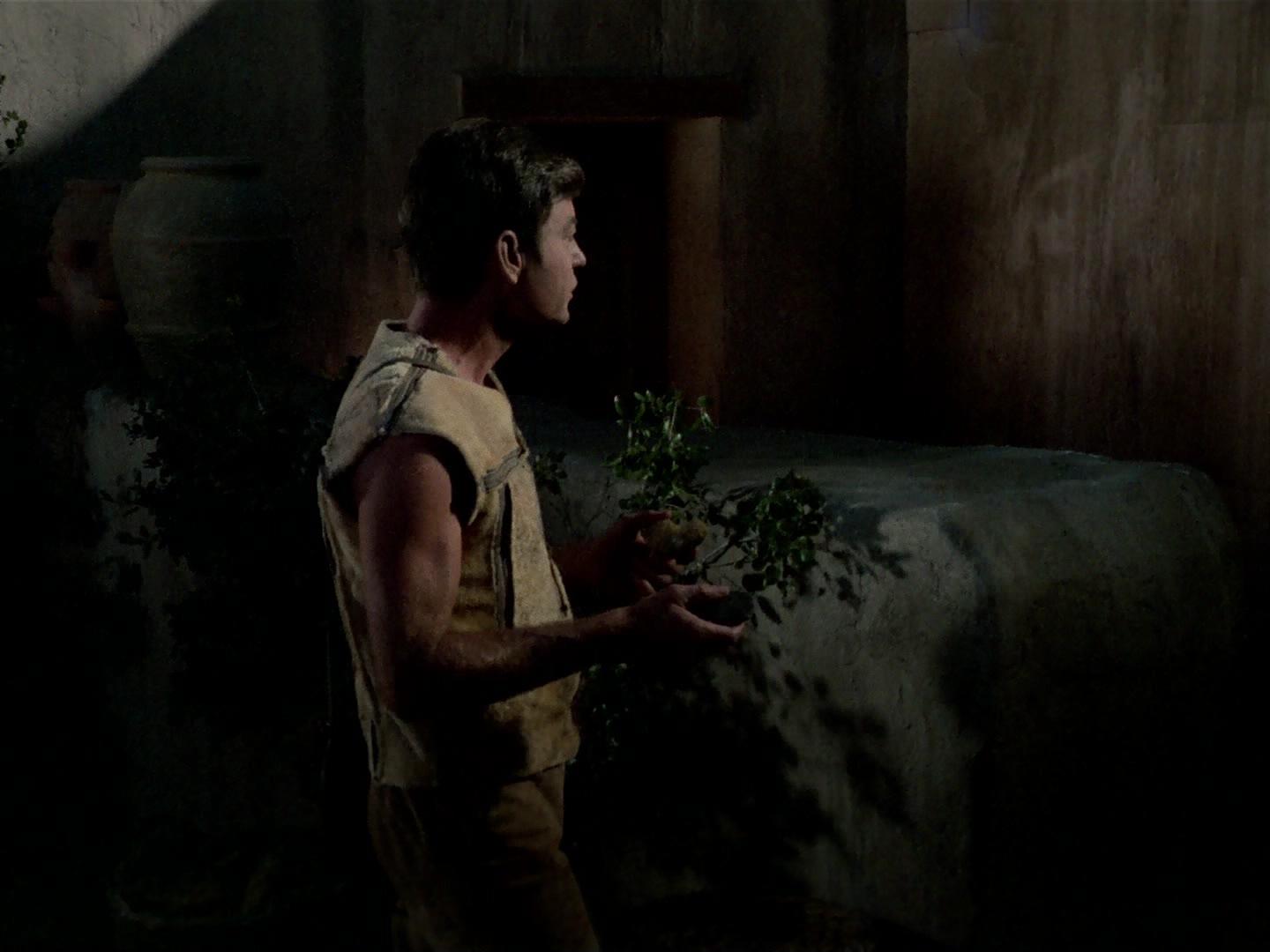 ariane179254_StarTrek_2x19_APrivateLittleWar_2067.jpg