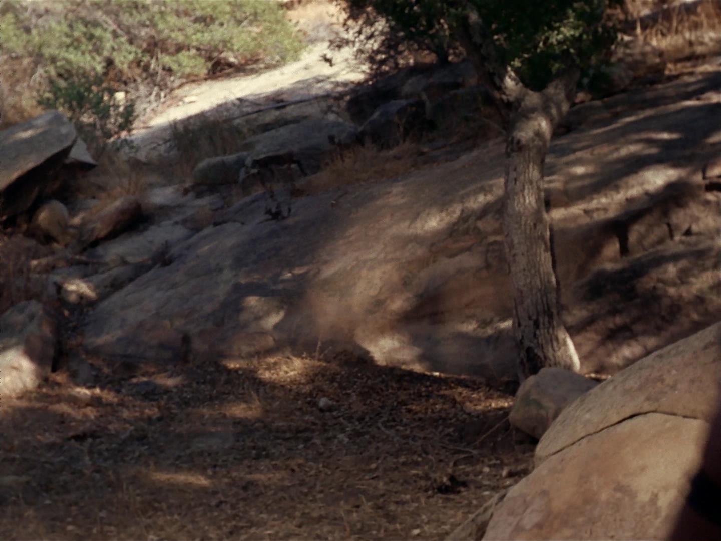 ariane179254_StarTrek_2x19_APrivateLittleWar_2602.jpg