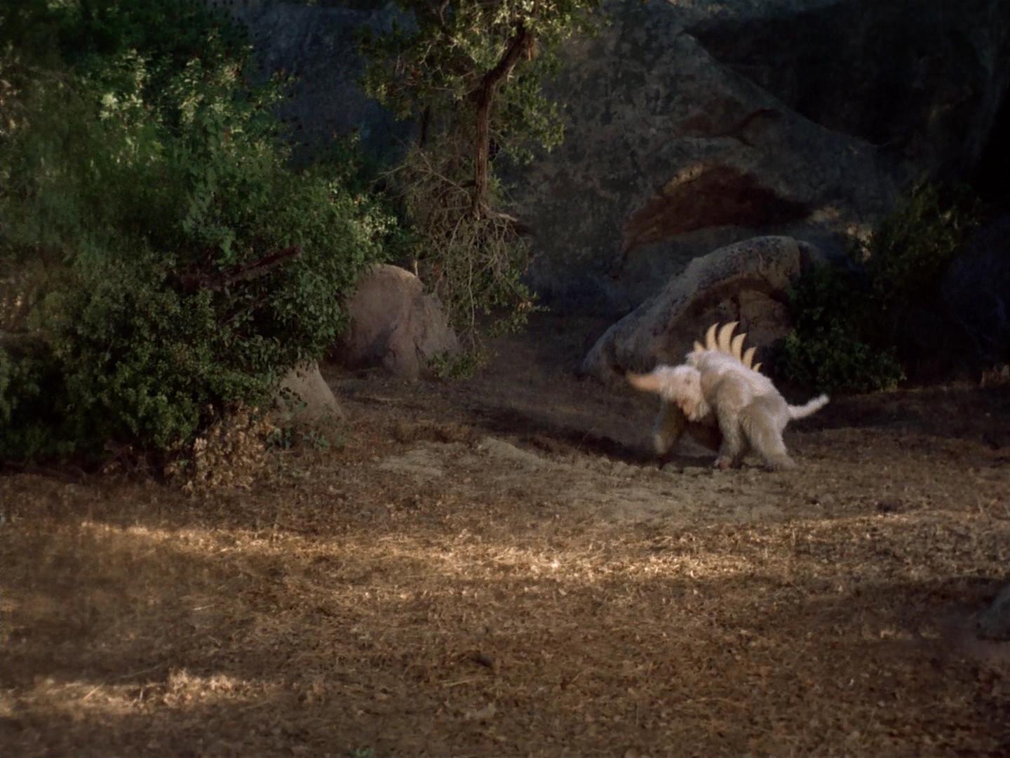 ariane179254_StarTrek_2x19_APrivateLittleWar_2744.jpg