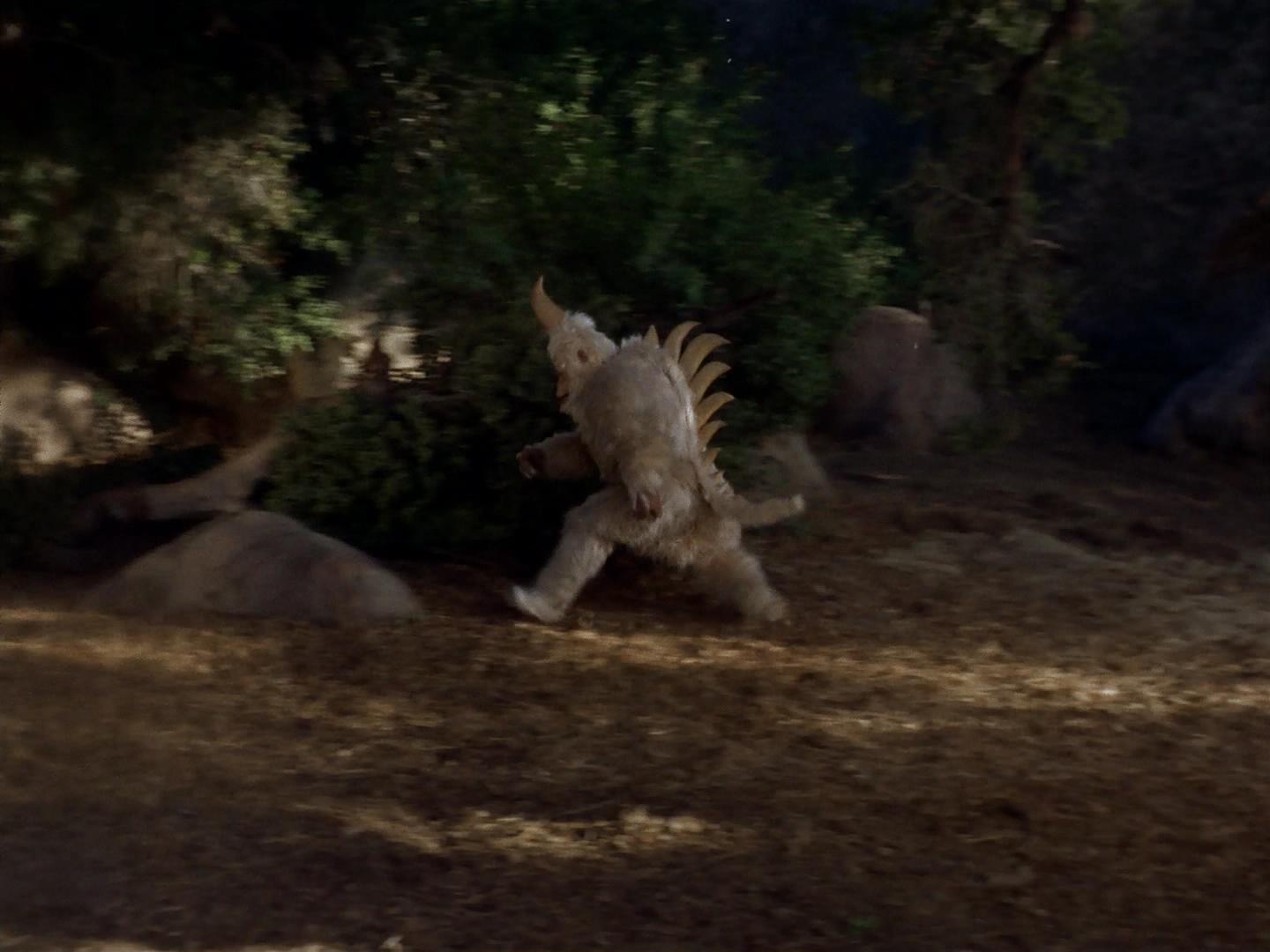 ariane179254_StarTrek_2x19_APrivateLittleWar_2747.jpg