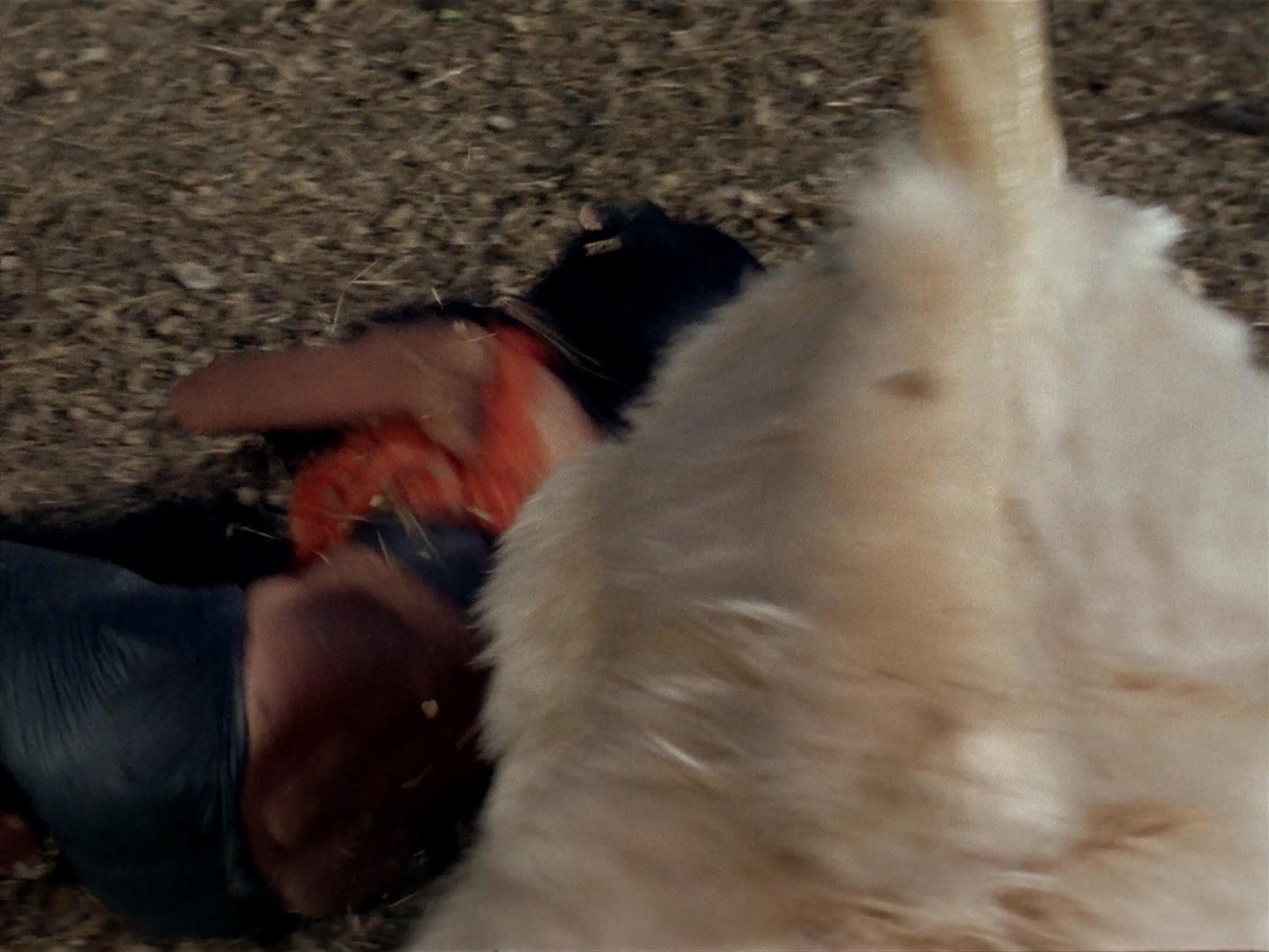 ariane179254_StarTrek_2x19_APrivateLittleWar_2759.jpg