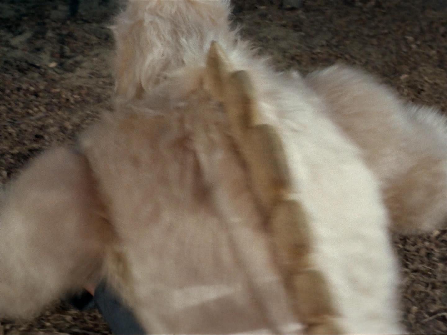 ariane179254_StarTrek_2x19_APrivateLittleWar_2762.jpg