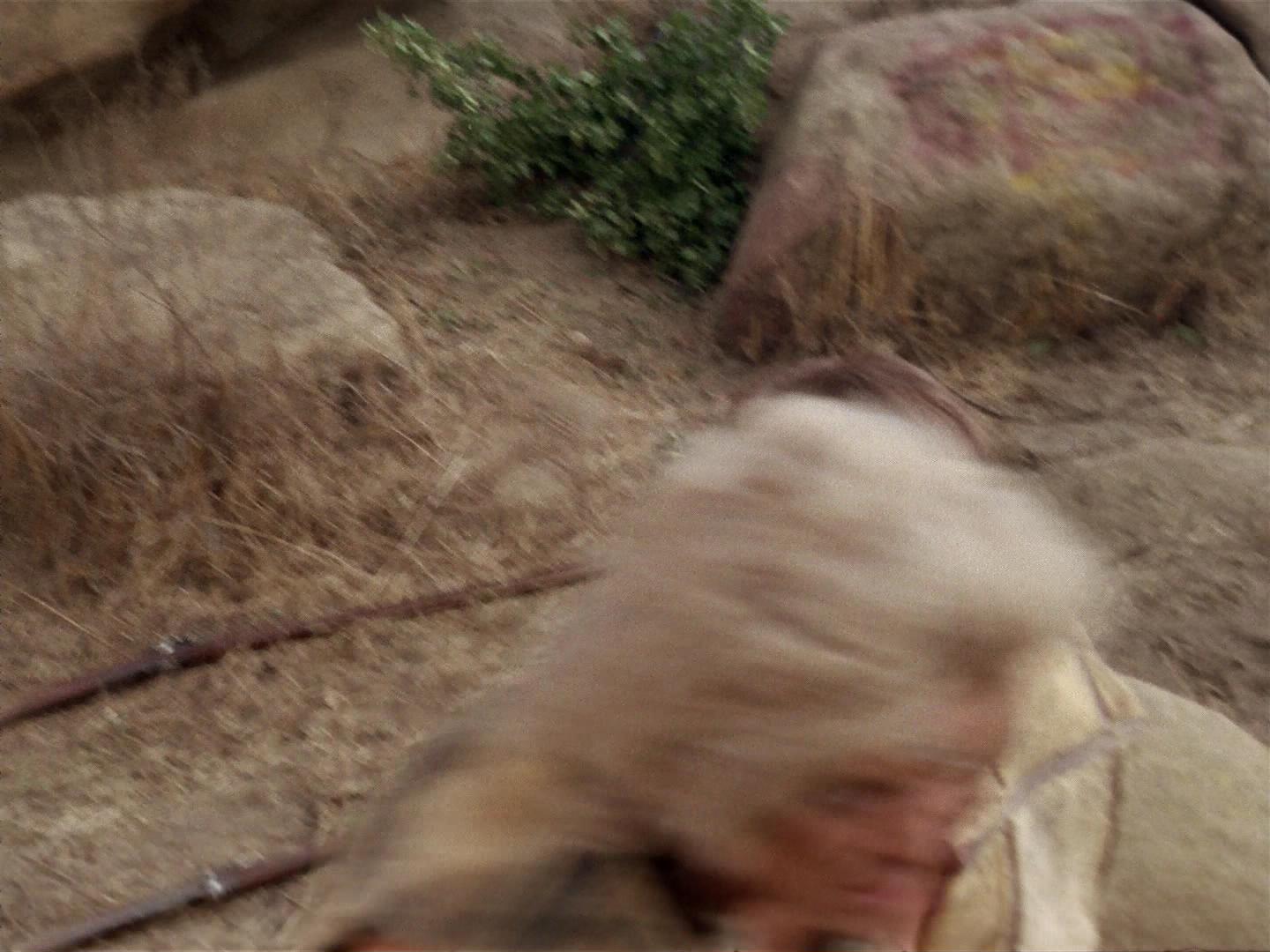 ariane179254_StarTrek_2x19_APrivateLittleWar_3073.jpg