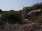ariane179254_StarTrek_2x19_APrivateLittleWar_0213.jpg