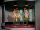 ariane179254_StarTrek_2x19_APrivateLittleWar_0309.jpg