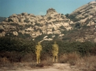 ariane179254_StarTrek_2x19_APrivateLittleWar_0602.jpg