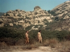 ariane179254_StarTrek_2x19_APrivateLittleWar_0609.jpg