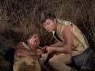 Filename=ariane179254_StarTrek_2x19_APrivateLittleWar_0749.jpg
Filesize=179KiB
Dimensions=1440x1080
Date added=Jul 14, 2015 ariane179254_StarTrek_2x19_APrivateLittleWar_0749.jpg