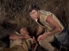 Filename=ariane179254_StarTrek_2x19_APrivateLittleWar_0752.jpg
Filesize=173KiB
Dimensions=1440x1080
Date added=Jul 14, 2015 ariane179254_StarTrek_2x19_APrivateLittleWar_0752.jpg