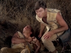 Filename=ariane179254_StarTrek_2x19_APrivateLittleWar_0753.jpg
Filesize=172KiB
Dimensions=1440x1080
Date added=Jul 14, 2015 ariane179254_StarTrek_2x19_APrivateLittleWar_0753.jpg