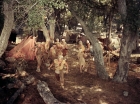 ariane179254_StarTrek_2x19_APrivateLittleWar_0798.jpg