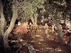 ariane179254_StarTrek_2x19_APrivateLittleWar_0804.jpg