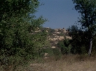 ariane179254_StarTrek_2x19_APrivateLittleWar_0858.jpg