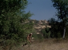 ariane179254_StarTrek_2x19_APrivateLittleWar_0860.jpg
