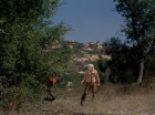 ariane179254_StarTrek_2x19_APrivateLittleWar_0863.jpg