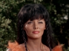 Filename=ariane179254_StarTrek_2x19_APrivateLittleWar_0903.jpg
Filesize=99KiB
Dimensions=1440x1080
Date added=Jul 14, 2015 ariane179254_StarTrek_2x19_APrivateLittleWar_0903.jpg