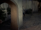 ariane179254_StarTrek_2x19_APrivateLittleWar_2214.jpg