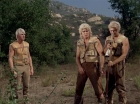 Filename=ariane179254_StarTrek_2x19_APrivateLittleWar_2349.jpg
Filesize=193KiB
Dimensions=1440x1080
Date added=Jul 14, 2015 ariane179254_StarTrek_2x19_APrivateLittleWar_2349.jpg