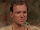 Filename=ariane179254_StarTrek_2x19_APrivateLittleWar_2630.jpg
Filesize=77KiB
Dimensions=1440x1080
Date added=Jul 14, 2015 ariane179254_StarTrek_2x19_APrivateLittleWar_2630.jpg