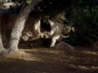 Filename=ariane179254_StarTrek_2x19_APrivateLittleWar_2748.jpg
Filesize=107KiB
Dimensions=1440x1080
Date added=Jul 14, 2015 ariane179254_StarTrek_2x19_APrivateLittleWar_2748.jpg