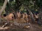 Filename=ariane179254_StarTrek_2x19_APrivateLittleWar_2812.jpg
Filesize=228KiB
Dimensions=1440x1080
Date added=Jul 14, 2015 ariane179254_StarTrek_2x19_APrivateLittleWar_2812.jpg