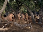 Filename=ariane179254_StarTrek_2x19_APrivateLittleWar_2814.jpg
Filesize=227KiB
Dimensions=1440x1080
Date added=Jul 14, 2015 ariane179254_StarTrek_2x19_APrivateLittleWar_2814.jpg