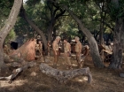 Filename=ariane179254_StarTrek_2x19_APrivateLittleWar_2817.jpg
Filesize=229KiB
Dimensions=1440x1080
Date added=Jul 14, 2015 ariane179254_StarTrek_2x19_APrivateLittleWar_2817.jpg