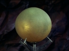Filename=ariane179254_StarTrek_2x20_ReturnToTomorrow_0627.jpg
Filesize=92KiB
Dimensions=1440x1080
Date added=Aug 26, 2015 ariane179254_StarTrek_2x20_ReturnToTomorrow_0627.jpg