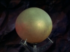 Filename=ariane179254_StarTrek_2x20_ReturnToTomorrow_0693.jpg
Filesize=80KiB
Dimensions=1440x1080
Date added=Aug 26, 2015 ariane179254_StarTrek_2x20_ReturnToTomorrow_0693.jpg