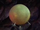 Filename=ariane179254_StarTrek_2x20_ReturnToTomorrow_1242.jpg
Filesize=91KiB
Dimensions=1440x1080
Date added=Aug 26, 2015 ariane179254_StarTrek_2x20_ReturnToTomorrow_1242.jpg