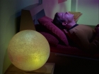 Filename=ariane179254_StarTrek_2x20_ReturnToTomorrow_1583.jpg
Filesize=105KiB
Dimensions=1440x1080
Date added=Aug 26, 2015 ariane179254_StarTrek_2x20_ReturnToTomorrow_1583.jpg