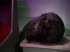 ariane179254_StarTrek_2x20_ReturnToTomorrow_2892.jpg