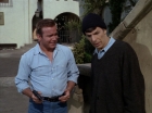 ariane179254_StarTrek_2x21_PatternsOfForce_0502.jpg