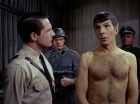 Filename=ariane179254_StarTrek_2x21_PatternsOfForce_0746.jpg
Filesize=133KiB
Dimensions=1440x1080
Date added=Aug 26, 2015 ariane179254_StarTrek_2x21_PatternsOfForce_0746.jpg