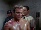 ariane179254_StarTrek_2x21_PatternsOfForce_0801.jpg