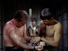 ariane179254_StarTrek_2x21_PatternsOfForce_1038.jpg