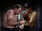 Filename=ariane179254_StarTrek_2x21_PatternsOfForce_1052.jpg
Filesize=124KiB
Dimensions=1440x1080
Date added=Aug 26, 2015 ariane179254_StarTrek_2x21_PatternsOfForce_1052.jpg