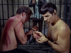 Filename=ariane179254_StarTrek_2x21_PatternsOfForce_1079.jpg
Filesize=131KiB
Dimensions=1440x1080
Date added=Aug 26, 2015 ariane179254_StarTrek_2x21_PatternsOfForce_1079.jpg