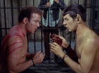Filename=ariane179254_StarTrek_2x21_PatternsOfForce_1088.jpg
Filesize=131KiB
Dimensions=1440x1080
Date added=Aug 26, 2015 ariane179254_StarTrek_2x21_PatternsOfForce_1088.jpg