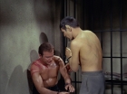 Filename=ariane179254_StarTrek_2x21_PatternsOfForce_1110.jpg
Filesize=120KiB
Dimensions=1440x1080
Date added=Aug 26, 2015 ariane179254_StarTrek_2x21_PatternsOfForce_1110.jpg