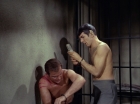 Filename=ariane179254_StarTrek_2x21_PatternsOfForce_1118.jpg
Filesize=120KiB
Dimensions=1440x1080
Date added=Aug 26, 2015 ariane179254_StarTrek_2x21_PatternsOfForce_1118.jpg