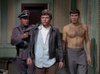 Filename=ariane179254_StarTrek_2x21_PatternsOfForce_1262.jpg
Filesize=131KiB
Dimensions=1440x1080
Date added=Aug 26, 2015 ariane179254_StarTrek_2x21_PatternsOfForce_1262.jpg