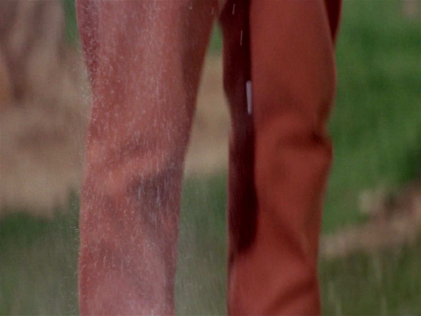 ariane179254_StarTrek_2x22_ByAnyOtherName_0934.jpg