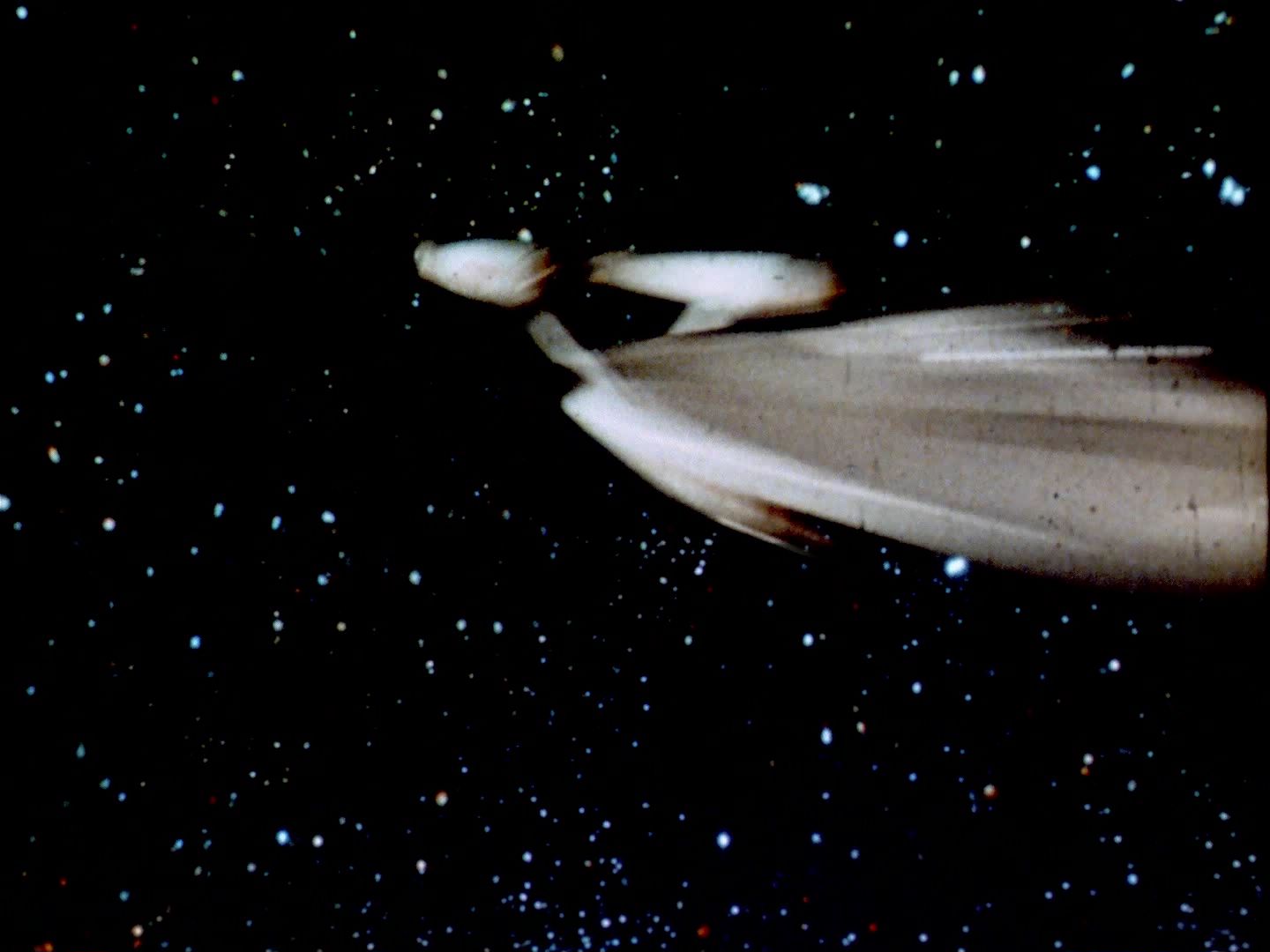 ariane179254_StarTrek_2x22_ByAnyOtherName_1472.jpg