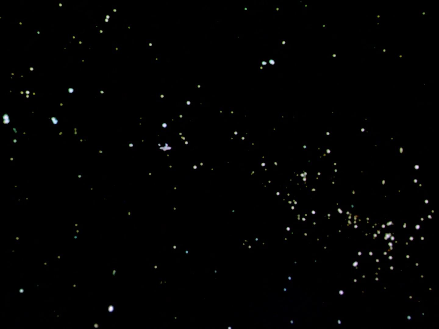 ariane179254_StarTrek_2x22_ByAnyOtherName_1557.jpg