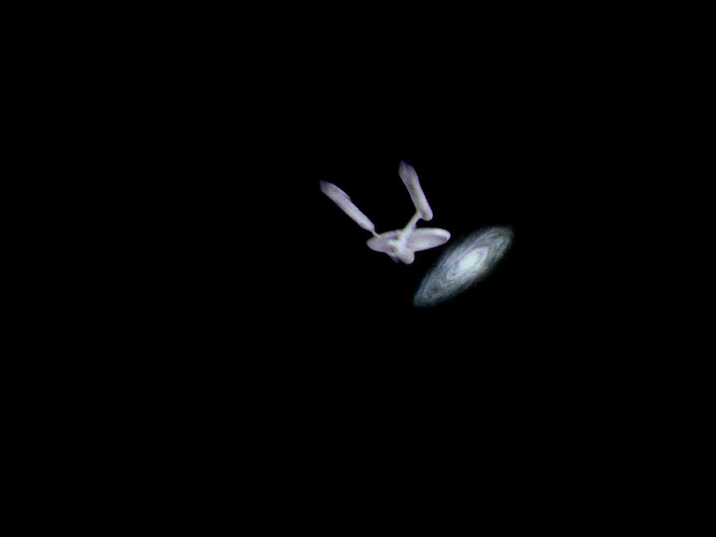 ariane179254_StarTrek_2x22_ByAnyOtherName_1907.jpg