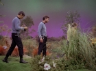 Filename=ariane179254_StarTrek_2x22_ByAnyOtherName_0077.jpg
Filesize=145KiB
Dimensions=1440x1080
Date added=Aug 26, 2015 ariane179254_StarTrek_2x22_ByAnyOtherName_0077.jpg