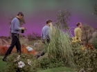 Filename=ariane179254_StarTrek_2x22_ByAnyOtherName_0078.jpg
Filesize=155KiB
Dimensions=1440x1080
Date added=Aug 26, 2015 ariane179254_StarTrek_2x22_ByAnyOtherName_0078.jpg