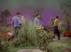 Filename=ariane179254_StarTrek_2x22_ByAnyOtherName_0079.jpg
Filesize=154KiB
Dimensions=1440x1080
Date added=Aug 26, 2015 ariane179254_StarTrek_2x22_ByAnyOtherName_0079.jpg